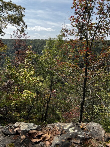 0 Holly Ridge Rd Unit RTC2599690, Monteagle, TN 37356