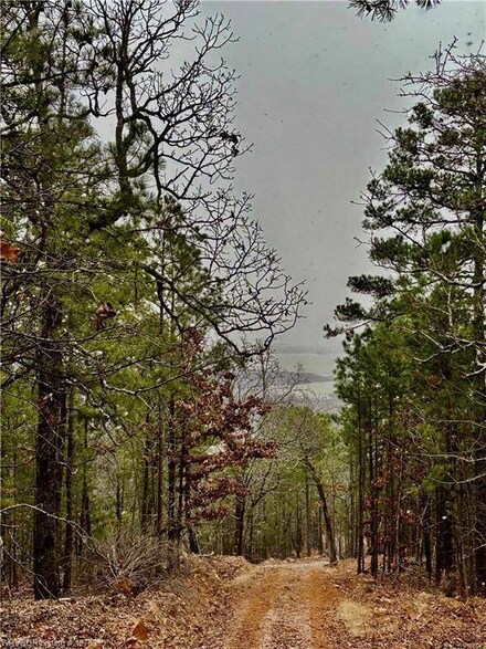 Tract 17 Sardis Ln Unit 218,889, Clayton, OK 74536