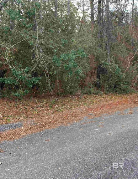0 Pine Ct Unit Lot 8 374328, Saraland, AL 36571