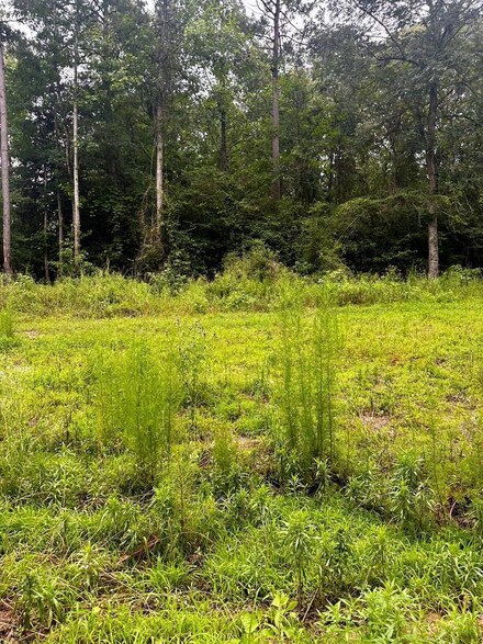 Lot 9 County Road 751, Nacogdoches, TX 75964