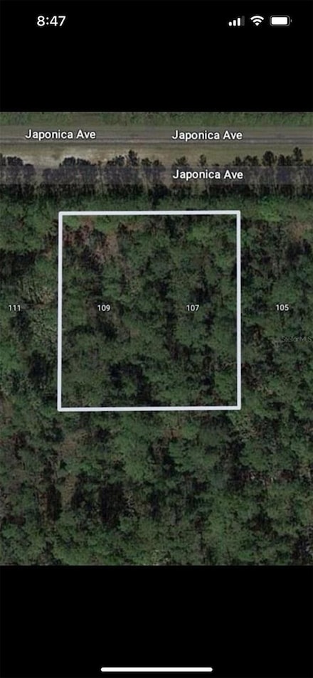 109 Japonica Ave, Indian Lake Estates, FL 33843