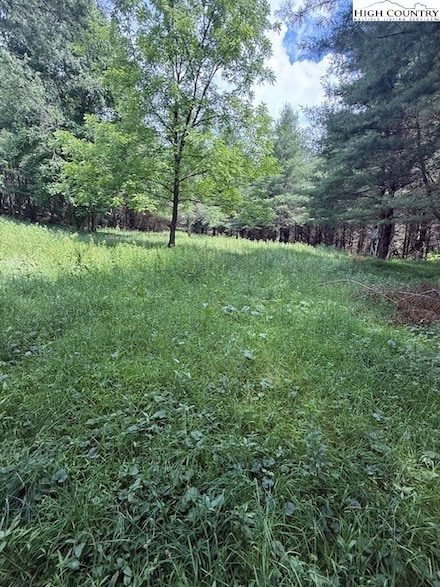 TBD Doughton Mountain Rd, Laurel Springs, NC 28644
