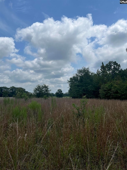 BH 1 Boise Cascade Rd, Bethune, SC 29009