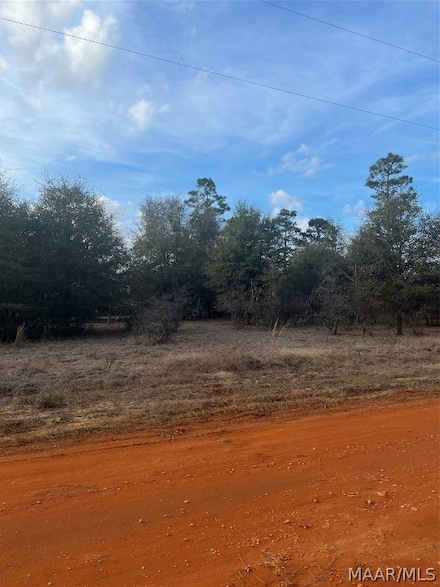 Lot 49 Deer Loop, Camden, AL 36726