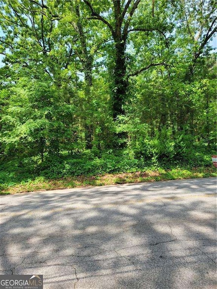 0 Browns Mill Rd SE Unit 10521941, Atlanta, GA 30354
