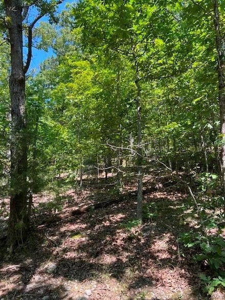 0 Minx Valley Dr, Roach, MO 65787