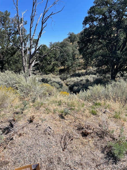 0 Alps Dr Unit 9991260, Tehachapi, CA 93561