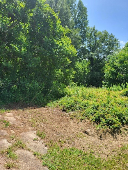 Lot  254 Petal Dr, Petal, MS 39465