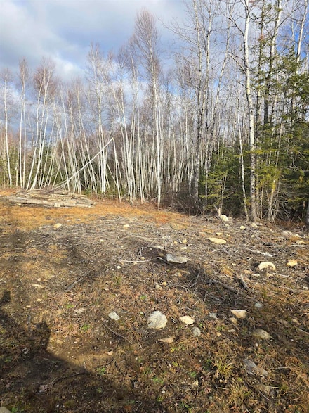 117 Sugarloaf Dr, Carroll, NH 03595