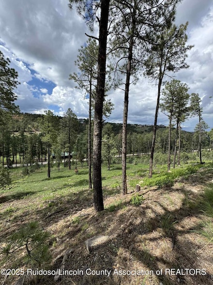 Lot 68 El Camino Dr, Alto, NM 88312