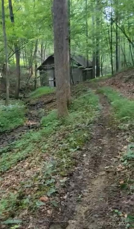 295 Bennett Branch Rd, Green Mountain, NC 28740