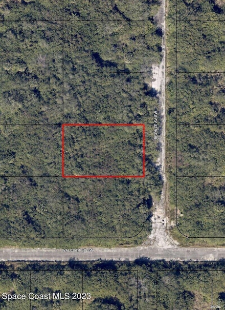 1990 Bronze Ave SW, Palm Bay, FL 32908