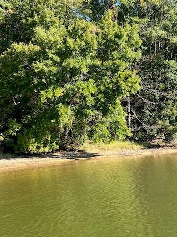 0 Beechtree Ln, Eufaula, AL 36027