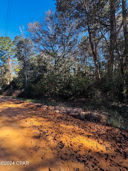 Lot 7 Cypress Cove Rd, Caryville, FL 32427
