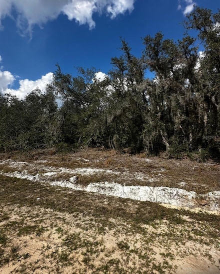 0 Allison Ave Unit MFRTB8349762, Lake Wales, FL 33859