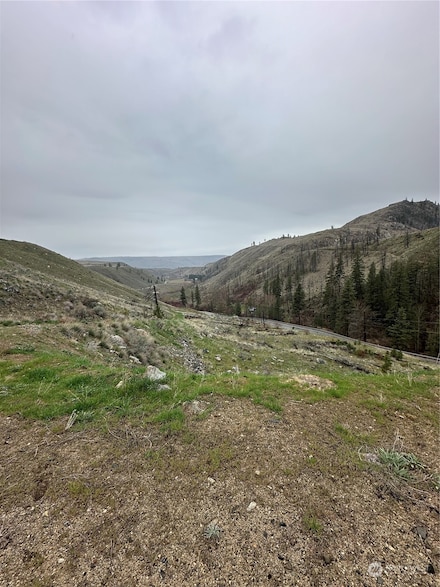 2830 Antoine Creek Rd (Lot D), Chelan, WA 98816