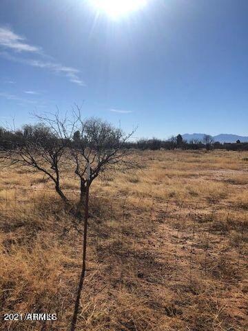 TBD E 1 3 Ac's Lot A Birch St, Huachuca City, AZ 85616
