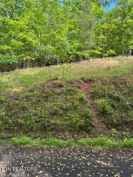 Lot 543 Rockview Dr, Spring City, TN 37381
