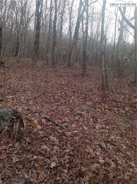 tbd Middle Fork Ln, Whitetop, VA 24292