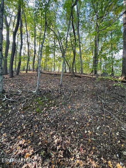 0 Laguna Vista Dr Unit 1296582, Caryville, TN 37714