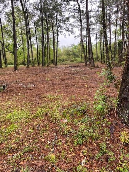 Lot #3 Hart Rd, Hammond, LA 70401