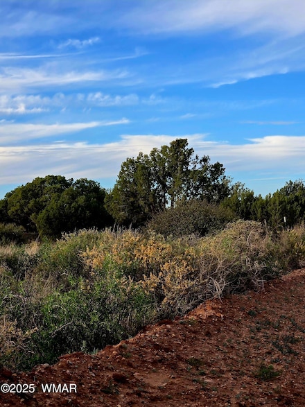 4360 &4366 E Pinto Rd, Snowflake, AZ 85937