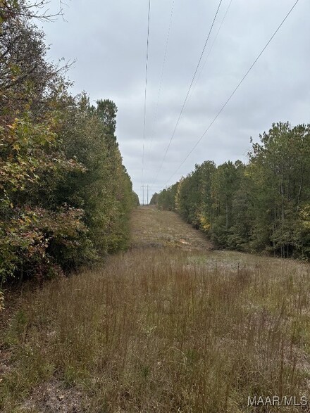 6253 County Road 81 Route, Notasulga, AL 36866