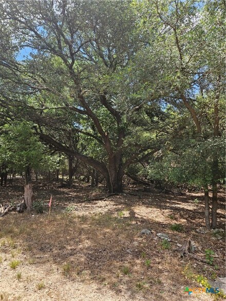 TBD Red Dog Ct, Belton, TX 76513