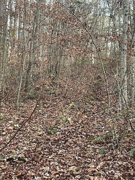 468 Horns Creek Rd, Old Fort, TN 37362