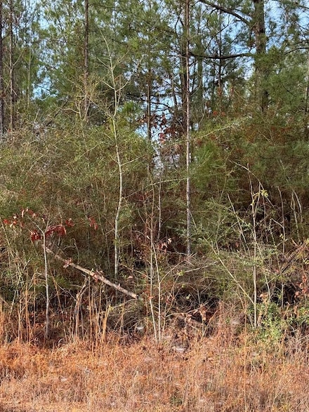 435 Glenwood Dr, Carriere, MS 39426
