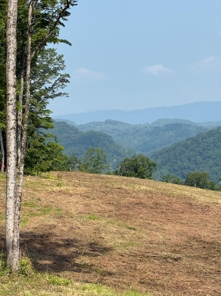 0 Heavens View Ln, Gate City, VA 24251