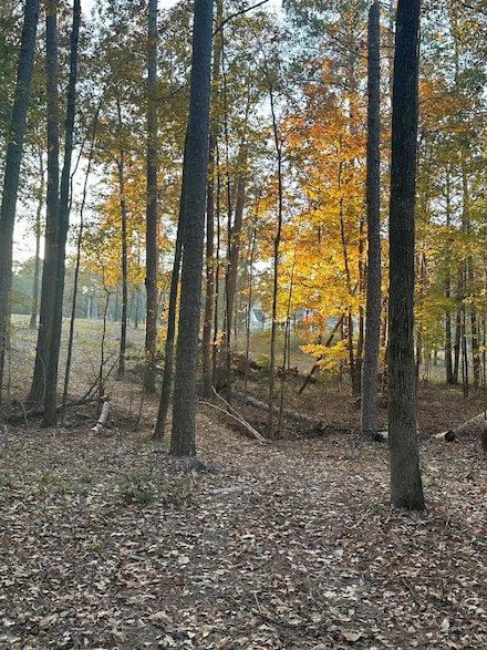 9-3 Long Cove, Lincolnton, GA 30817