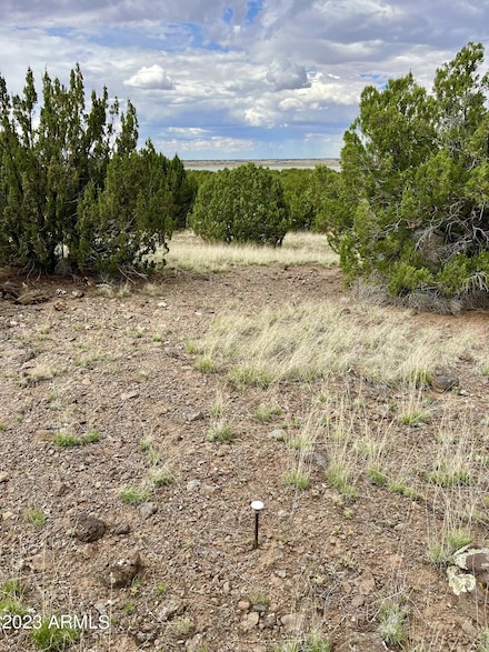 TBD County Rd N3440 -- Unit 42, Concho, AZ 85924