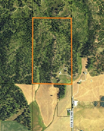 388 State Line Rd, Newport, WA 99156