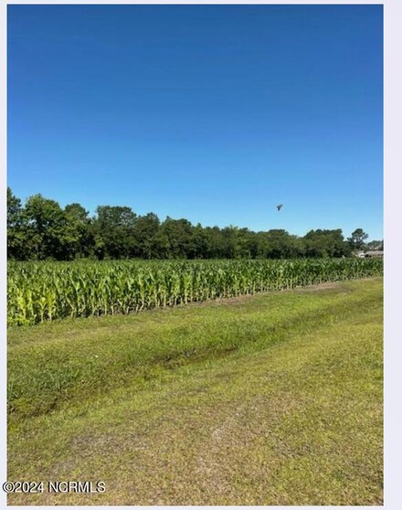 6 Harper Landing Dr, Pink Hill, NC 28572