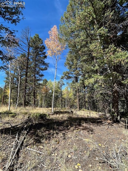 643 Pinewood Rd, Florissant, CO 80816