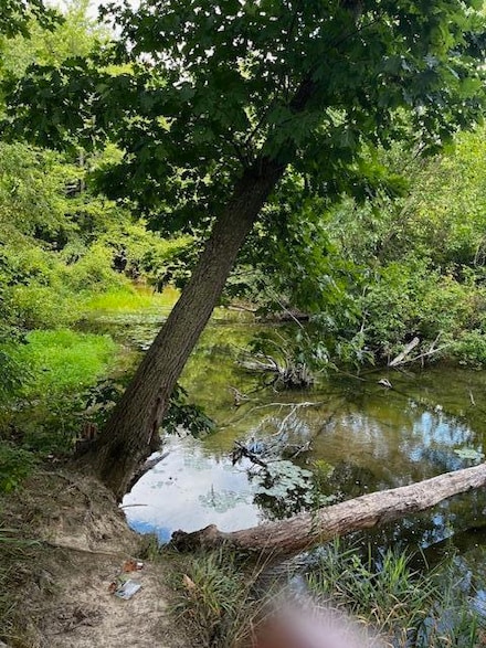 12808 Lincoln Lake Ave NE, Gowen, MI 49326