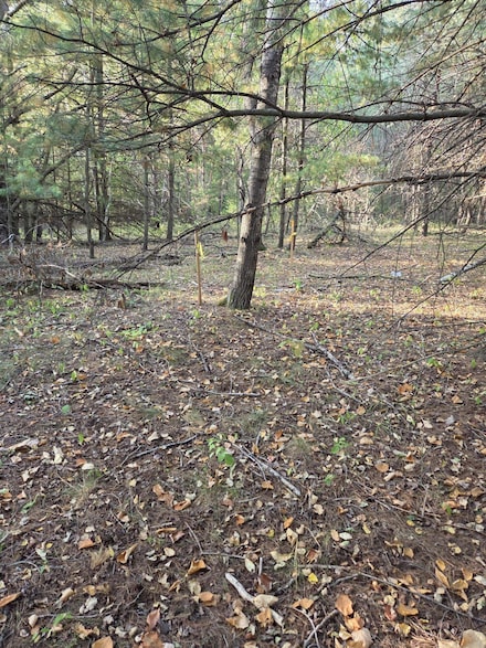 523 N 20th St, Gladwin, MI 48624