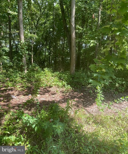 53 Fountain Blvd, Burlington, NJ 08016