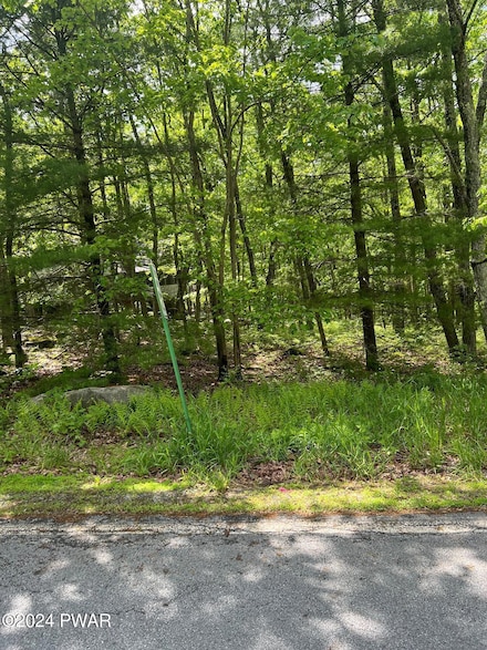 113 Surrey Dr, Blooming Grove Township, PA 18428