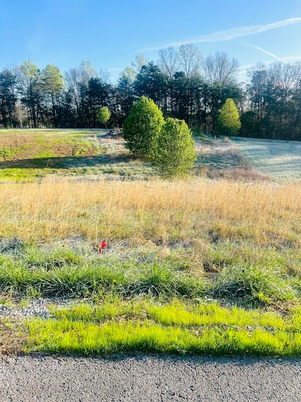 14 Westwood Dr, London, KY 40741