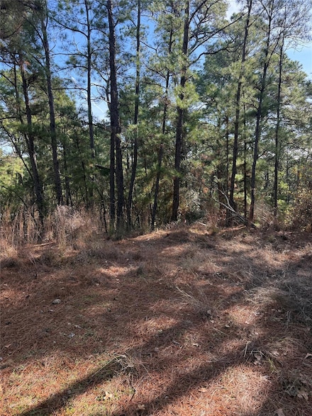 106 Llio Ct, Bastrop, TX 78602