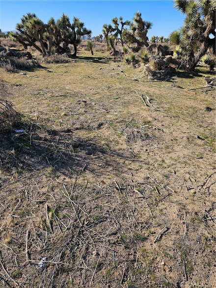 0 Division St Unit SR25266653, Juniper Hills, CA 93550