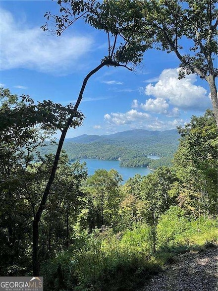 0 Rainwater Trail Unit 10532876, Tiger, GA 30576