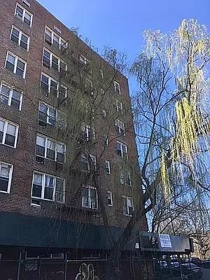 86-16 60th Ave Unit 6, Elmhurst, NY 11373