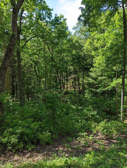 Lot 1&2 Highland Rd, Murphy, NC 28906