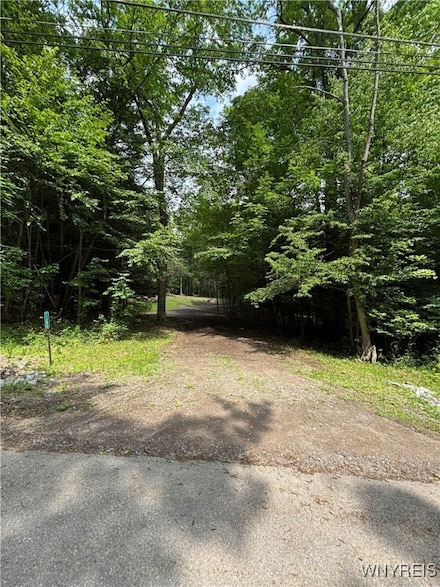 11256 Blanchard Rd, Holland, NY 14080
