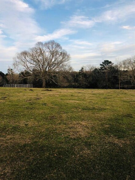 00 Ealum Mill Rd, Red Level, AL 36474