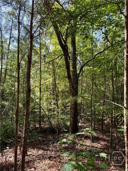 0 Best Bridge Rd Unit SA336787, Sylvania, GA 30467