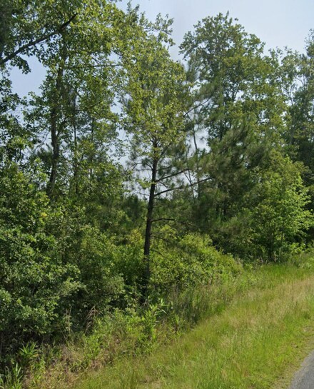 0 Wesley Chapel Ave Unit 24003741, Cottageville, SC 29435